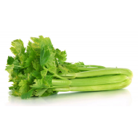 100 Grams Fresh Celery Stem Premium 