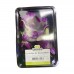 Fresh Edible Purple Orchid Flower Premium  Apprx 8 Pcs