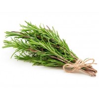100 Grams Fresh Rosemary Leaves Premium
