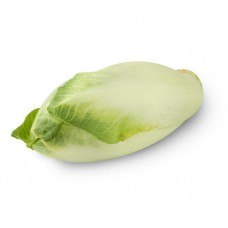 1 kg Fresh Chicory (Non-premium)